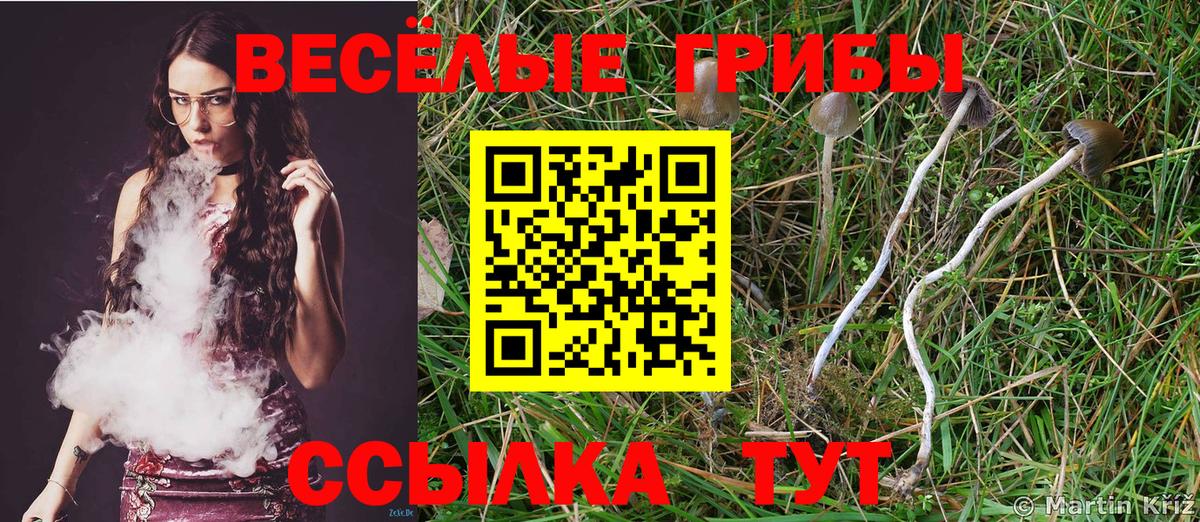 Уссурийск  Галлюциногенные грибы GOLDEN TEACHER  Вход с VPN 