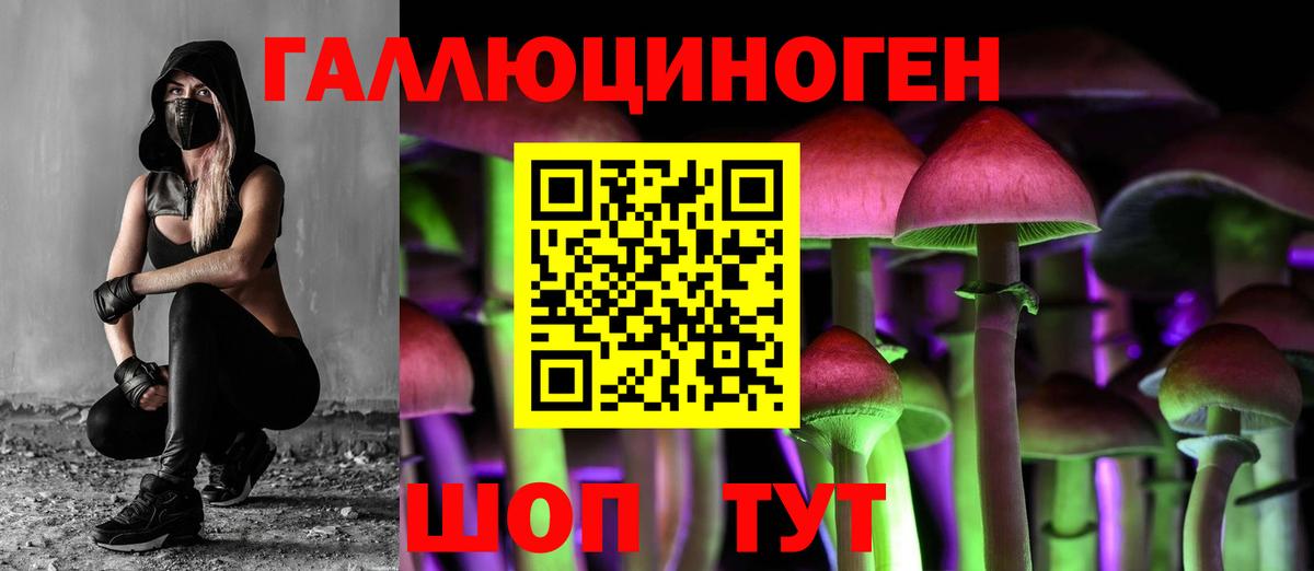 Псилоцибиновые грибы ЛСД Уссурийск